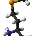 selenium molecule